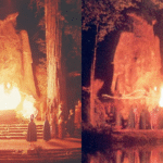 Bohemian Grove